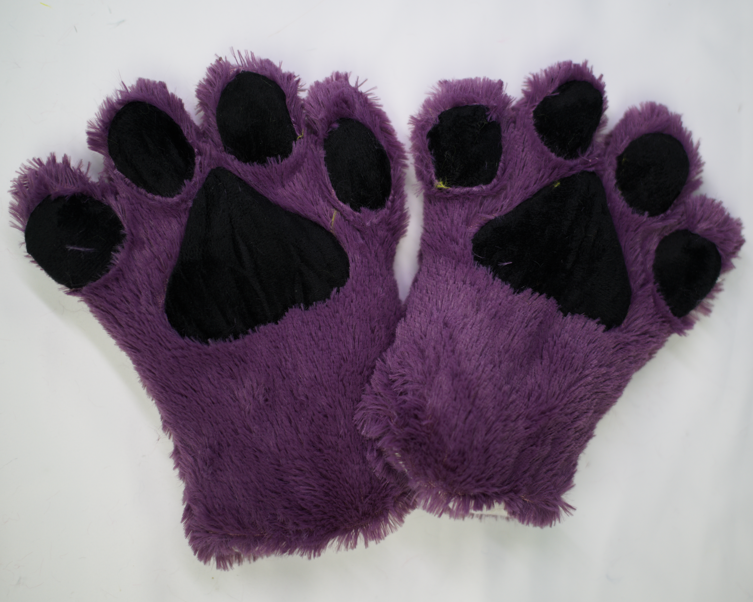 Purple sales cat paws